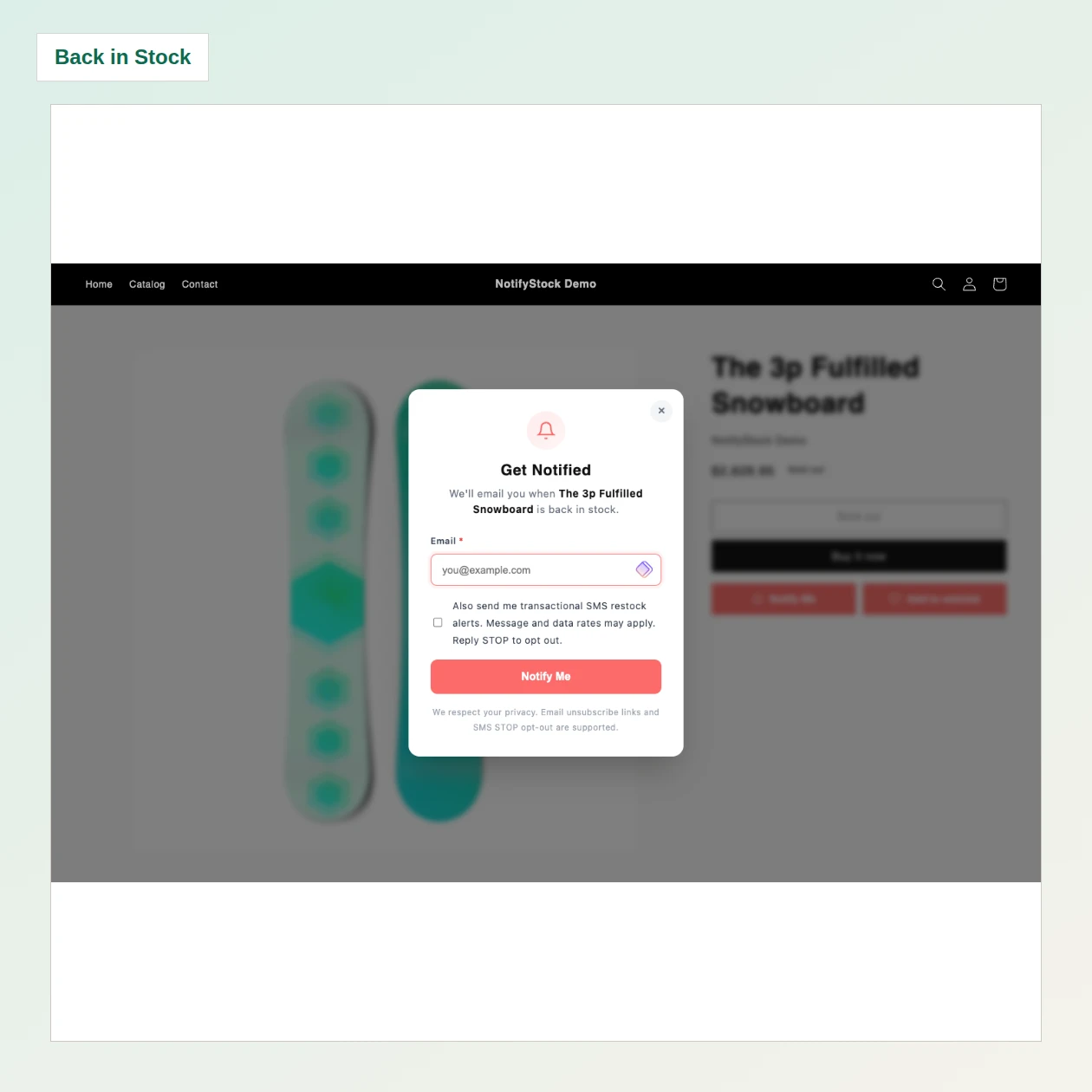 Back in Stock form on the demo storefront